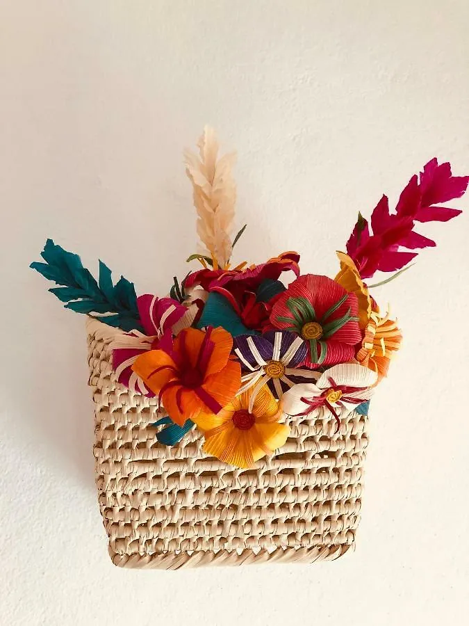 Casa Alberto Cozumel